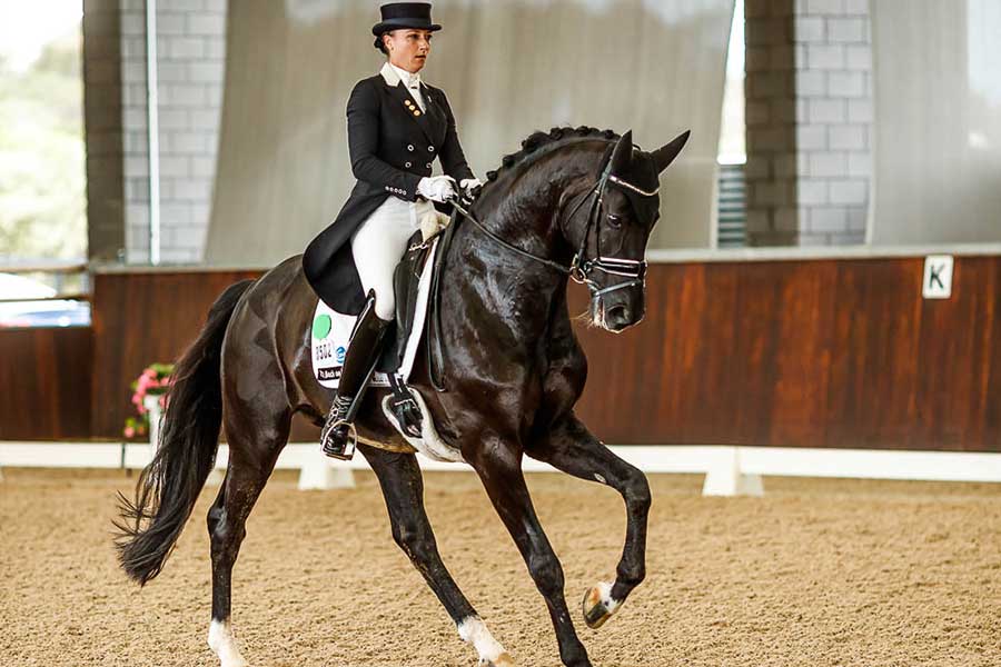 About the Event Australian Dressage Championships