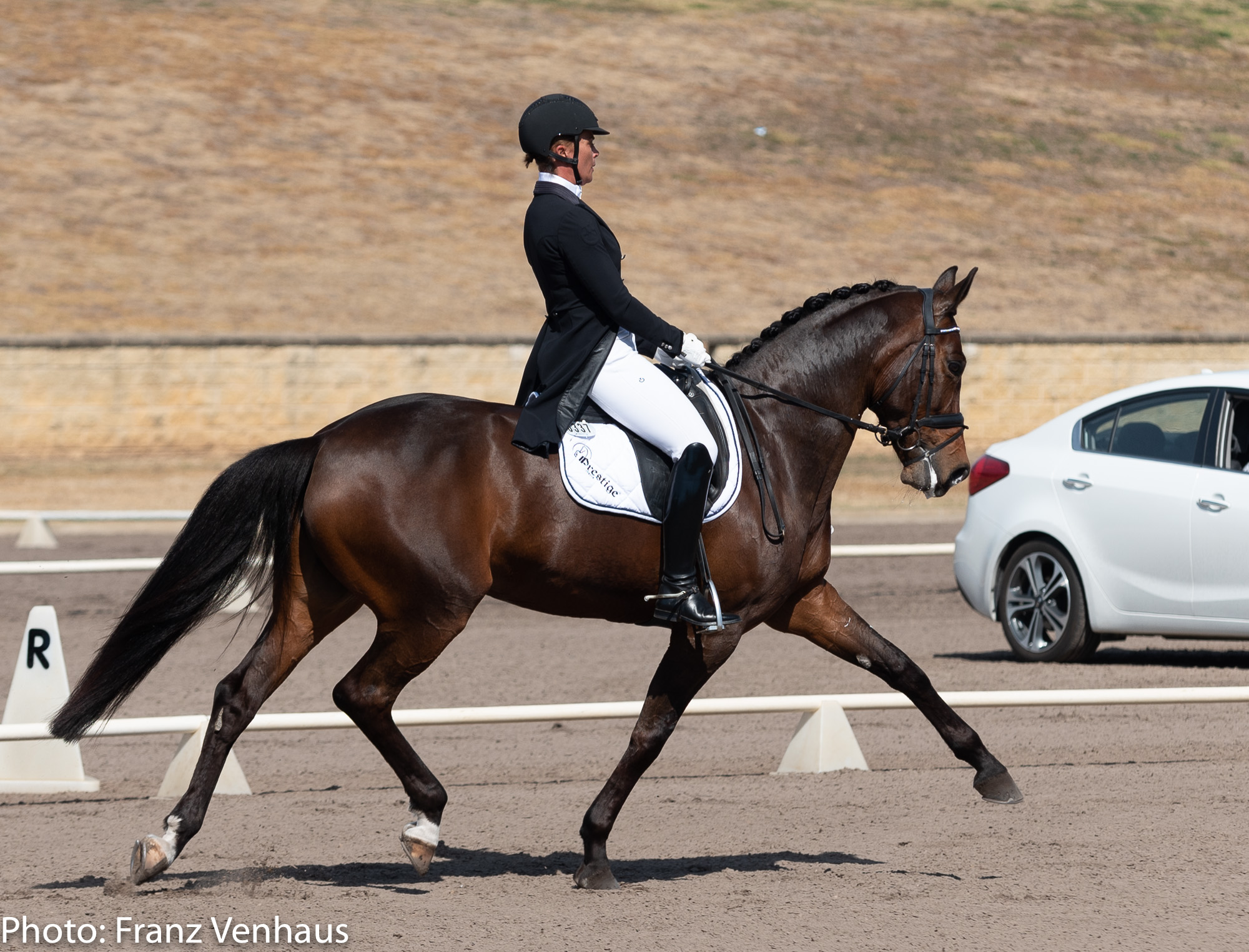 Australian Dressage Championships 2024 Ingrid Kendre