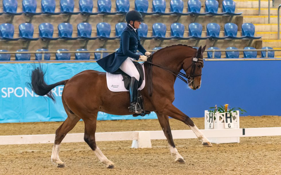 Showcase of Riders at the 2019 Australian Dressage Championships
