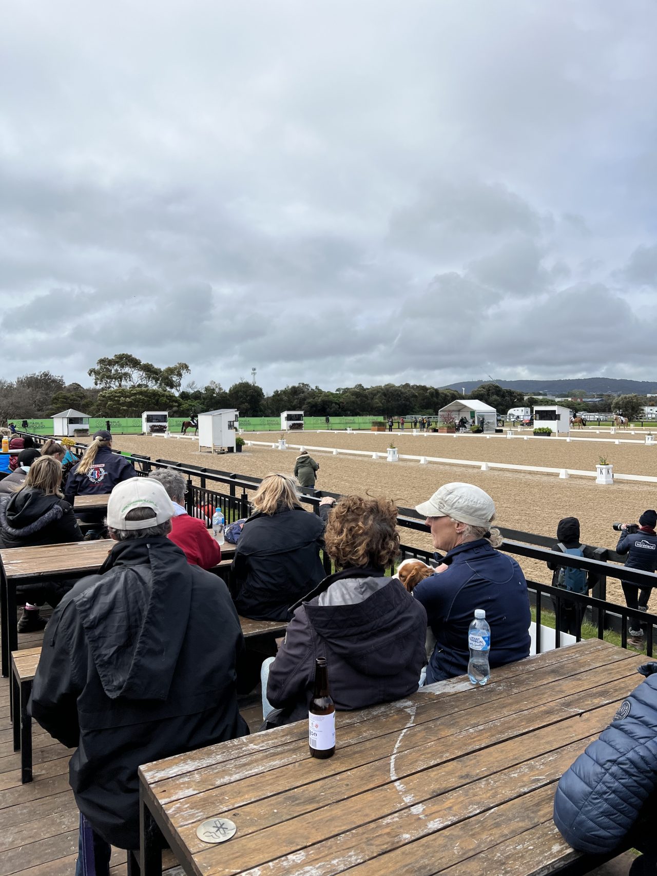 Media & News Australian Dressage Championships