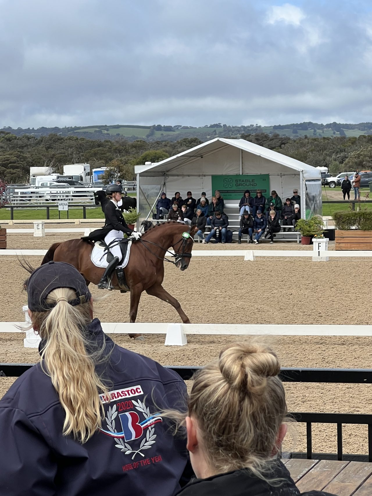 Media & News Australian Dressage Championships