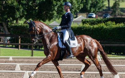 Be a Champion:Sponsorship Opportunities Available for the 2024 Australian Dressage Championships