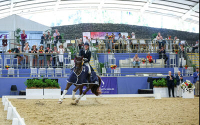 Champions rise at the 2025 Australian Dressage Championships